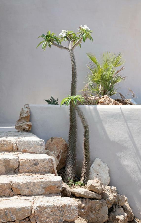 Villa Achilleas Crete Ierápetra Exterior foto